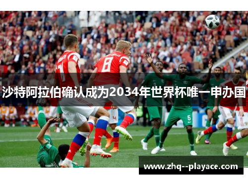 沙特阿拉伯确认成为2034年世界杯唯一申办国 沙特阿拉伯确认成为2034年世界杯唯一申办国